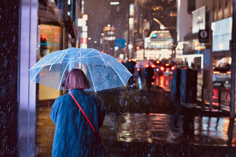 Weathering With You anime film location in rainy Tokyo Tenki no Ko